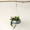 Farmhouse Rustic Galvanized Metal Gold Accent Hanging Round Wall Planter 11" Pot
