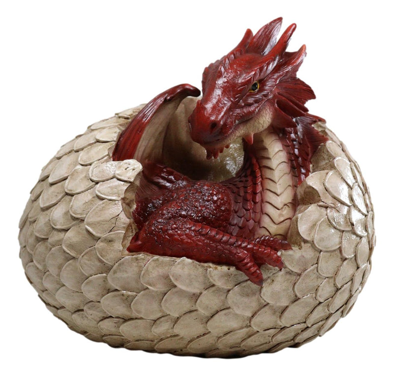 Ebros Large Smaug Red Baby Dragon Hatchling in Egg Statue 9.5" Long Dungeons Dragons Legends Fantasy Home and Garden Accent Decor Sculpture Medieval Renaissance Figurine Centerpiece