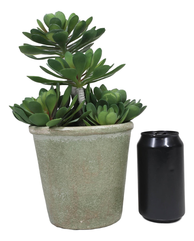 faux succulents in black pots Pack Of 2 Lifelike Artificial Zwartkop Succulent Blooms Botanicas In E– Ebros Gift