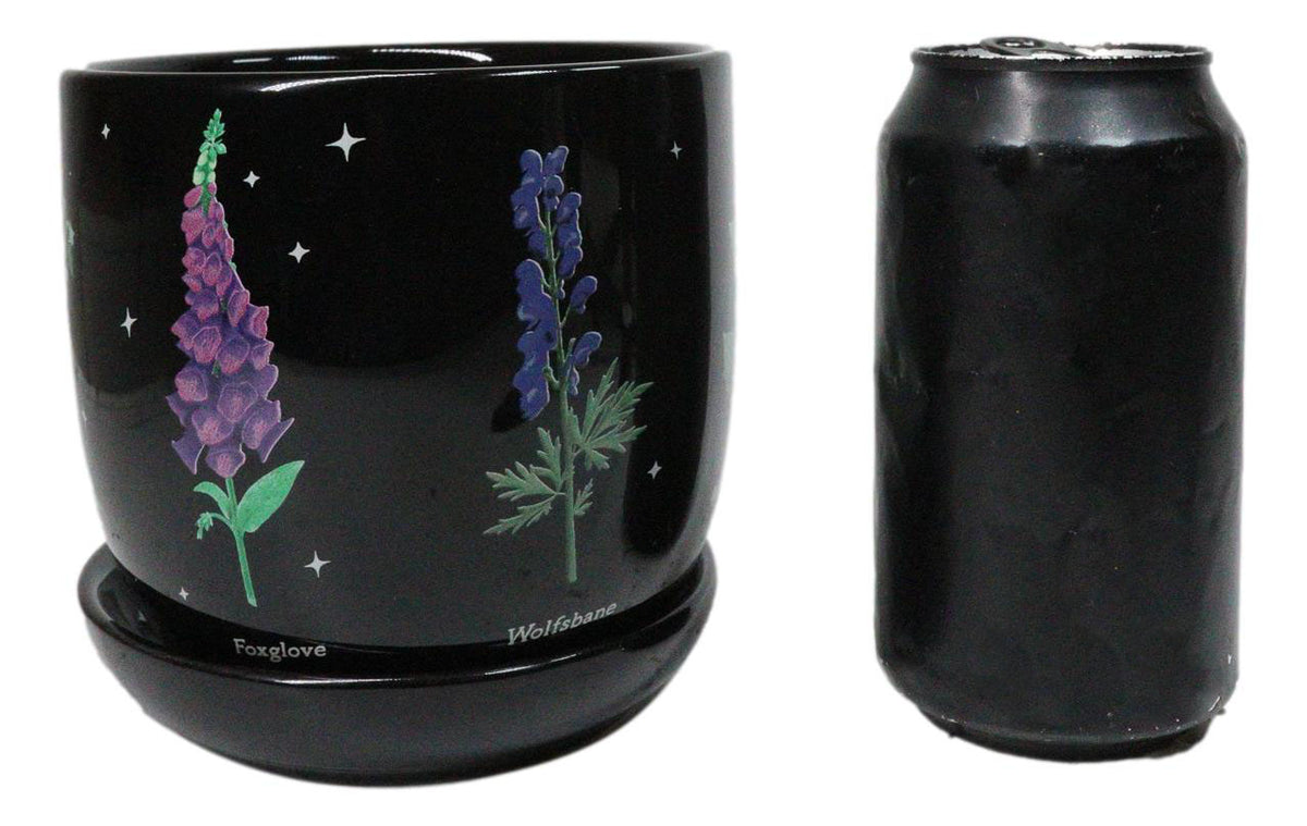 Witchcraft Magic Dark Forest Poisonous Plants Ceramic Planter Pot W/ Saucer Set