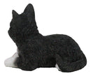 Lifelike Sitting Tuxedo Black and White Feline Kitten Cat Pet Pal Figurine