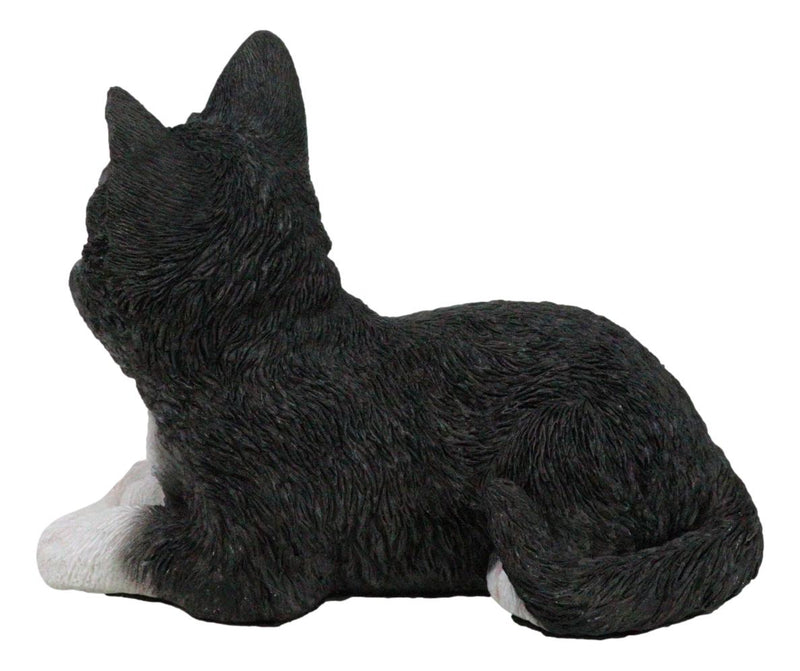 Lifelike Sitting Tuxedo Black and White Feline Kitten Cat Pet Pal Figurine