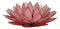 Fuchsia Pink Capiz Seashells Lotus Flower Votive Tea Light Candle Holder 8.5"D