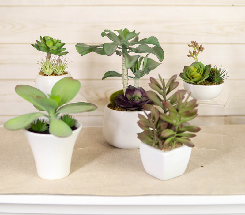 cute small succulent pots Set Of 5 Realistic Artificial Faux Botanica Succulents In Ceramic Mini– Ebros Gift