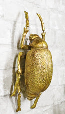 Modern Chic Gold Leaf Carpet Beetle Resin Wall Sculpture Or Table Decor