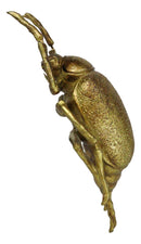 Modern Chic Gold Leaf Carpet Beetle Resin Wall Sculpture Or Table Decor