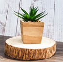 Pack Of 6 Unfinished Natural Wood Slices With Bark 6.25"D DIY Arts And Crafts