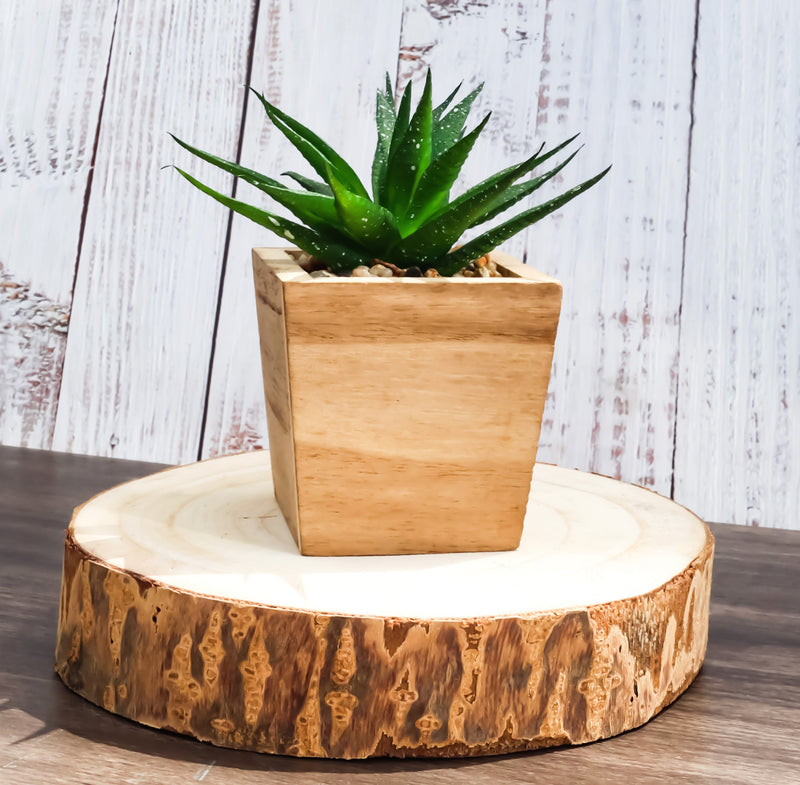 Pack Of 6 Unfinished Natural Wood Slices With Bark 6.25"D DIY Arts And Crafts