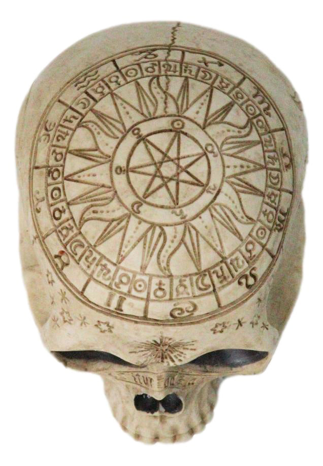Ebros Gift Astrology Zodiac Skull Figurine Celestial Occult Gothic Decor