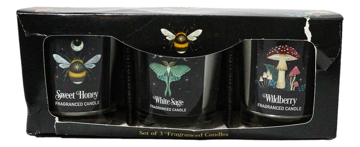 Pack of 3 Wicca Witchcraft Wildberry Sweet Honey White Sage Votive Candle Trio