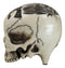 Western Cowboy Rodeo Skull Statue 6.75"Long Day Of The Dead Skull Figurine