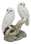 Tundra Forest Snow White Owls Couple Perching On Tree Branch Figurine 4.75"H