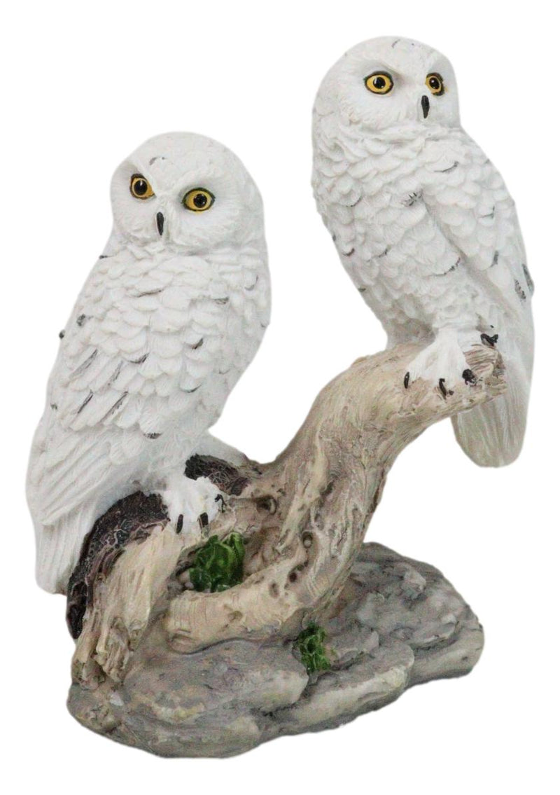 Tundra Forest Snow White Owls Couple Perching On Tree Branch Figurine 4.75"H