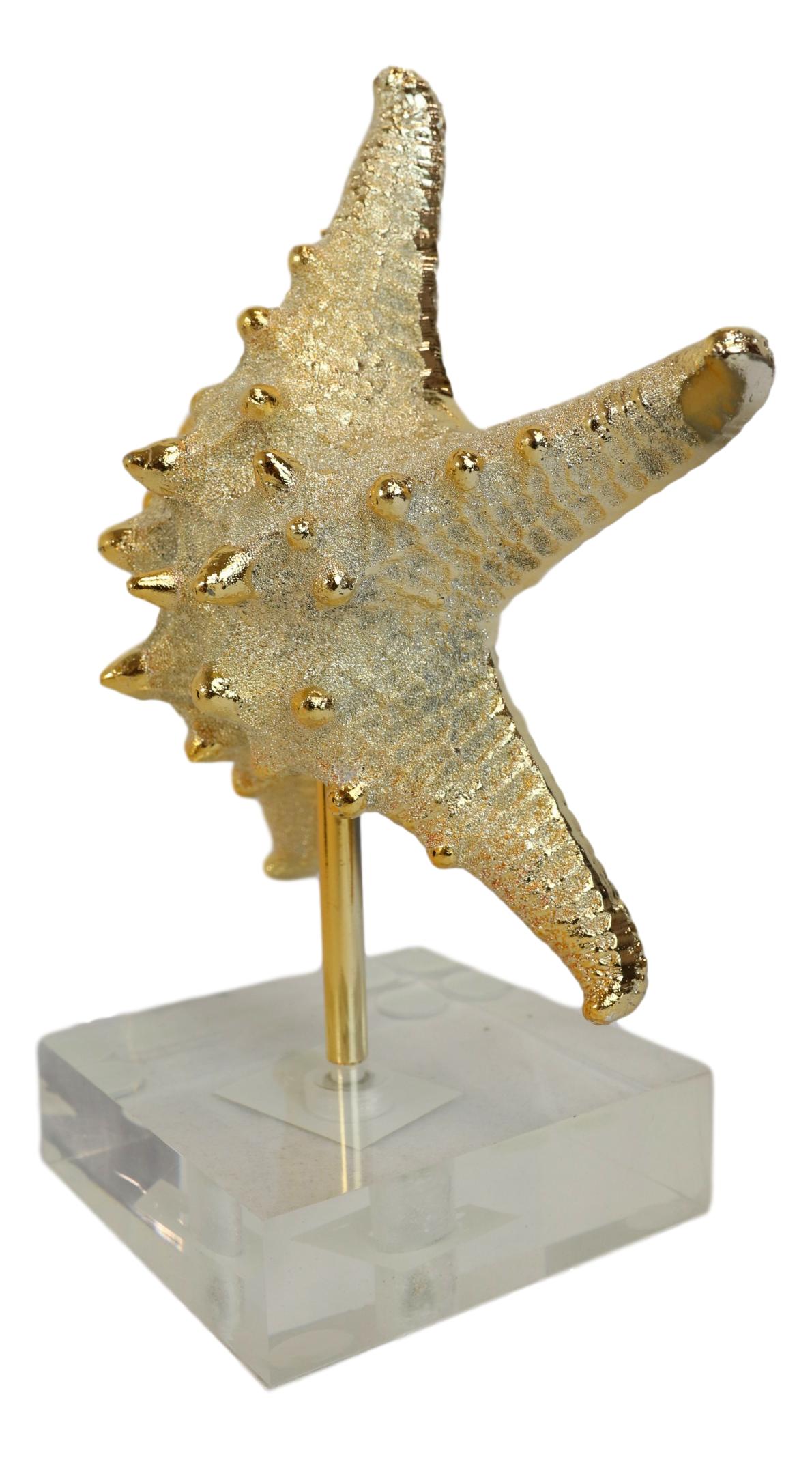 Nautical Marine Coral Golden Sea Star Shell Starfish Sculpture Acrylic Base