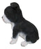 Realistic Miniature Boston Terrier Puppy Statue 6.25"Tall Animal Dog Collectible