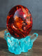 Red Fossil Dragon Hatchling Sleeping in Faux Crystal Acrylic Glass Egg Figurine