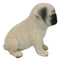 Realistic Lifelike Adorable Sitting Pug Dog Puppy Home Decor Figurine Pet Pal