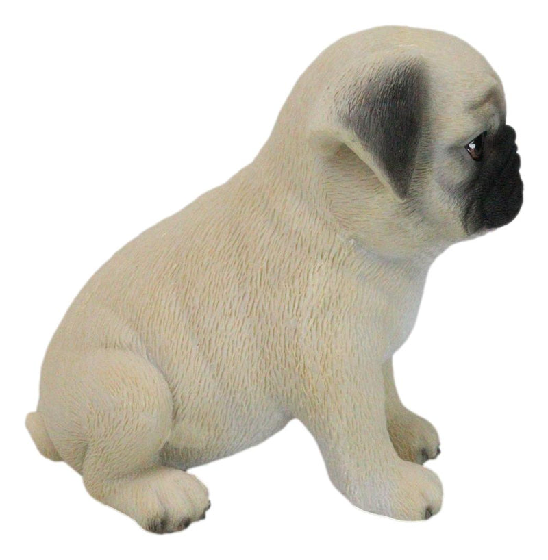 Realistic Lifelike Adorable Sitting Pug Dog Puppy Home Decor Figurine Pet Pal
