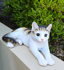 Realistic Adorable Feline Shorthair Calico Cat Kitten Lying Statue14.25"L