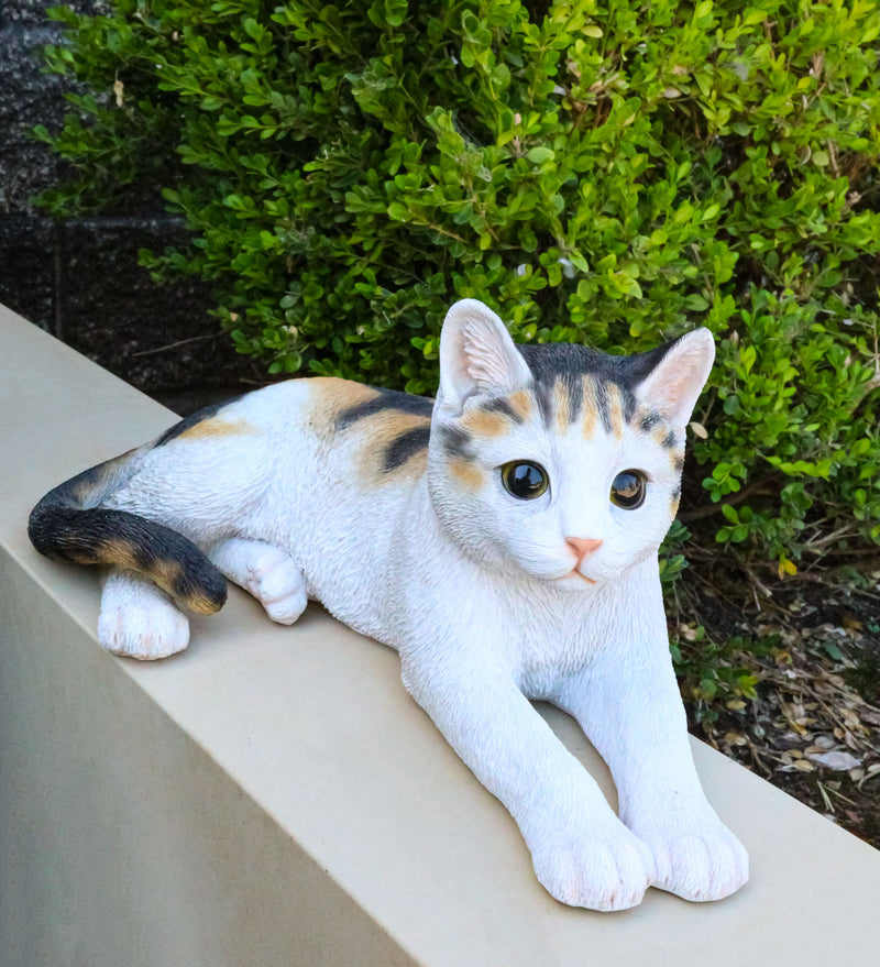 Realistic Adorable Feline Shorthair Calico Cat Kitten Lying Statue14.25"L
