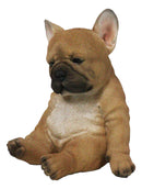 Laid Back Sitting Realistic Adorable French Bulldog Puppy Dog Figurine 7.5"H