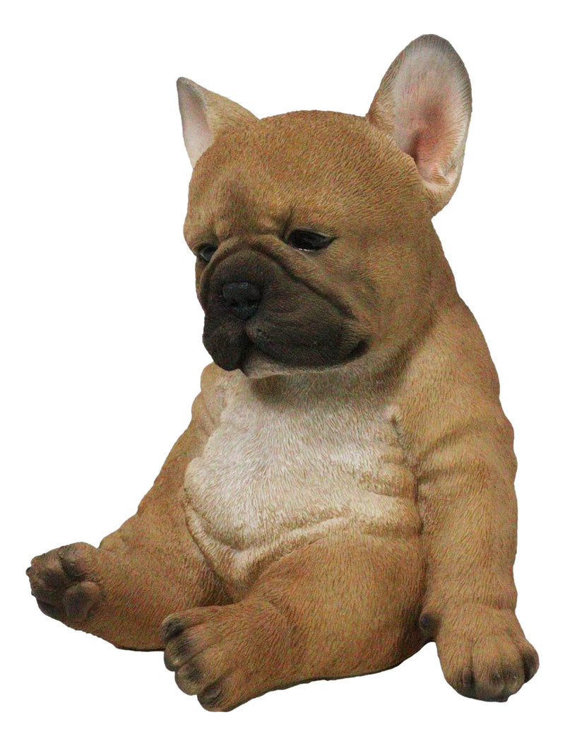 Laid Back Sitting Realistic Adorable French Bulldog Puppy Dog Figurine 7.5"H