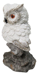 Whimsical White Snow Night Owl Perching On Tree Branch Figurine Decor