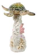 Marine Green Sea Turtle Swimming Over Coral Reef With Acrylic LED Light Figurine