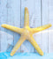 Nautical Marine Ocean Coral Yellow Sea Star Shell Starfish Wall Plaque Sculpture