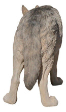 Ebros Large 4 Feet Long Wildlife Alpha Gray Wolf Statue Realistic Timber Wolf Decor