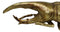Medium Gold Resin Hercules Rhinoceros Beetle Wall Decor Or Tabletop Figurine