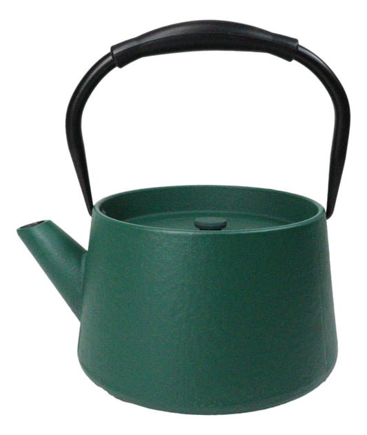 Matte Green Modern Straight Edge Design Tetsubin Larger Cast Iron Teapot 33oz