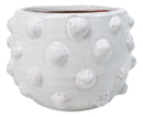 Nautical Ocean Marine White Sea Urchin Ribbed Design Terracotta Planter Pot