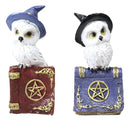 Pack Of 2 Witchcraft Spell Witch Snow Owls On Pentagram Spellbooks Figurine