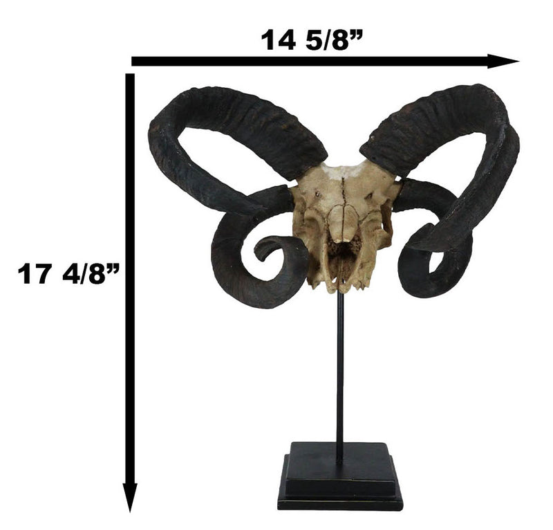 Large Alien Mutated Quad Horns Ram Skull Sculpture On Museum Base Stand 17.25"H