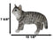 Standing Feline Gray Tabby Cat Kitten Figurine With Realistic Glass Eyes Decor