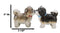 Animated Puppy Dog Shih Tzu Kitchen Salt And Pepper Shakers Ceramic Figurine Set