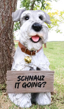 Adorable Grey Schnauzer Dog Sitting With Jingle Collar Greetings Sign Statue