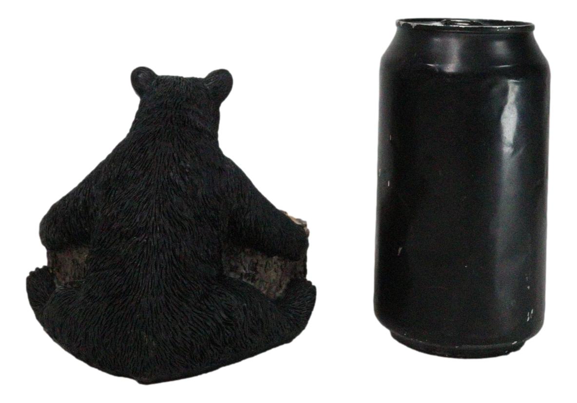 Western Rustic Forest Black Bear Hugging Tree Ring Coasters And Holder Set