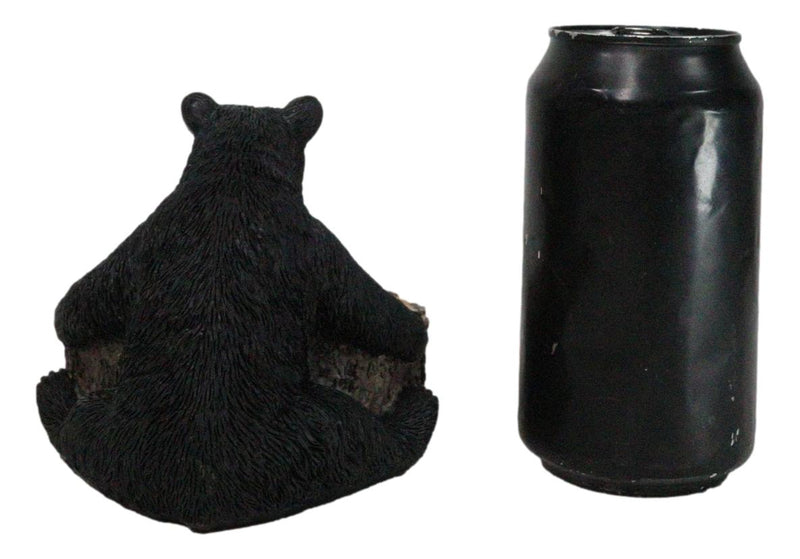 Western Rustic Forest Black Bear Hugging Tree Ring Coasters And Holder Set