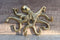 Brass Metal Nautical Marine Deep Sea Octopus Decorative Wall Plaque Figurine