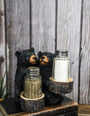 Rustic Forest Black Bear Couple Glass Salt and Pepper Shakers Holder Figurine