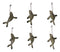 Set Of 6 Nautical Sea Grey Seals Ocean Marine Wall Decor Tree Ornaments