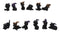 Set of 12 Halloween Black Cats With Witch Hats Mini Figurines In Multi Poses