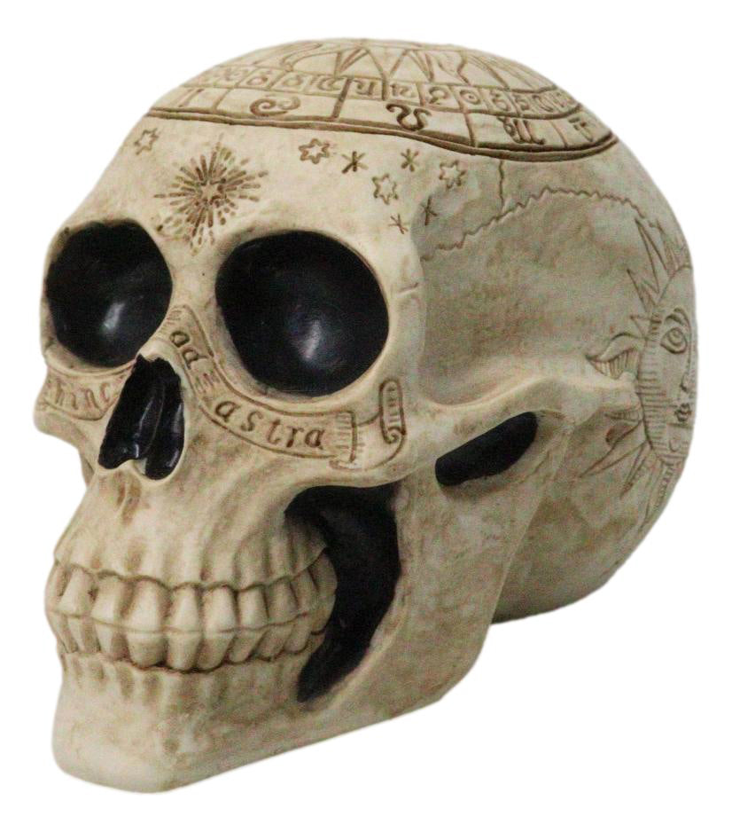 Ebros Gift Astrology Zodiac Skull Figurine Celestial Occult Gothic Decor