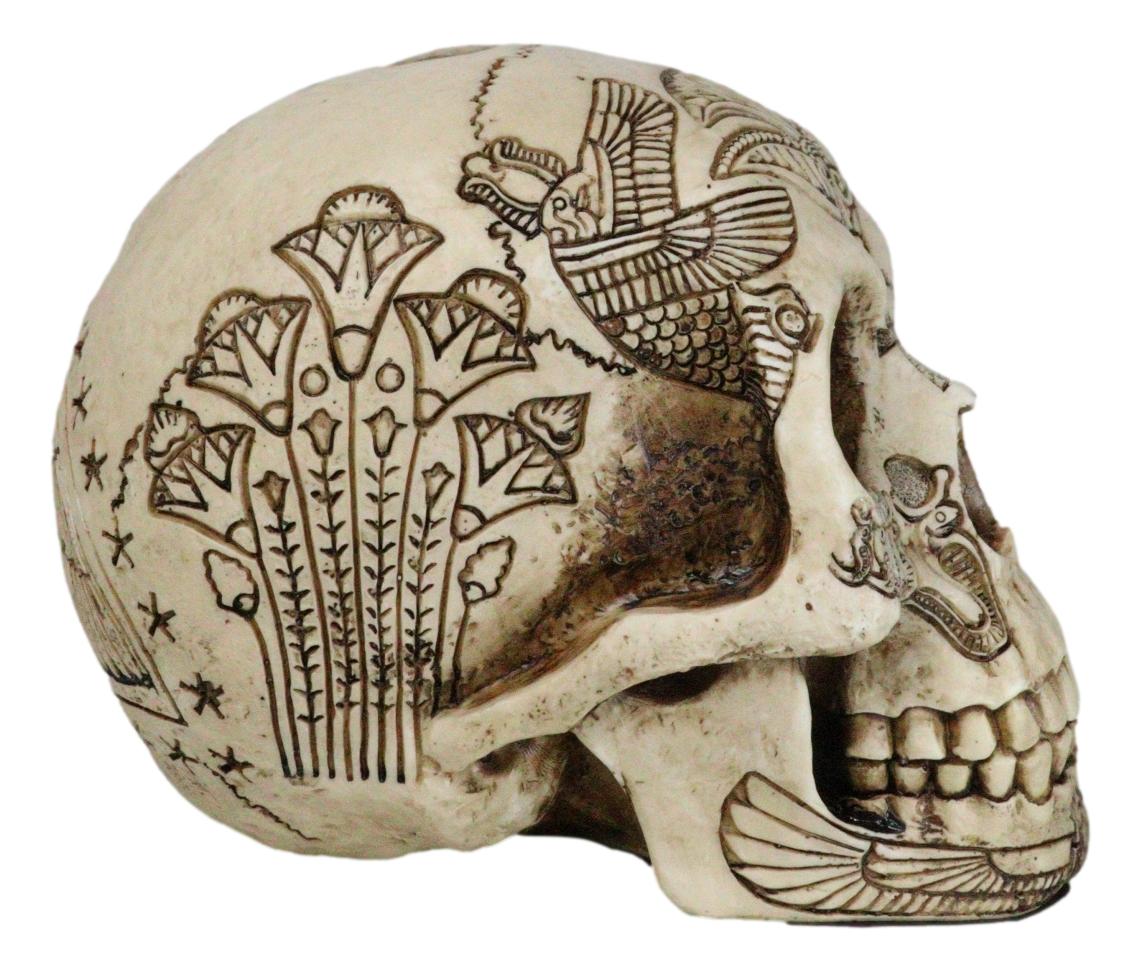 Ebros Bone Ancient Egyptian Gods Paranormal Voodoo Scarab Dung Beetle Skull Statue 8.5" Long Figurine - Ebros Gift