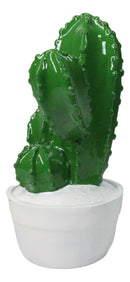 Southwest Desert Plains Whimsical Green Aloe Cactus Money Savings Piggy Bank