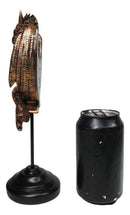 Fantasy Blood Auctor Dragon Masque Ornament On Pole Stand Or Wall Sculpture