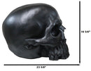 Graveyard Gothic Memento Mori Giant Oversized Sinister Black Skull Statue 23"L