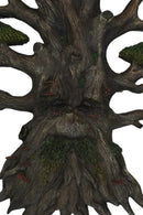 Nature Spirit God Celtic Greenman Tree Ent Canopy Hanging Wall Decor Plaque